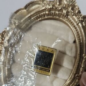 BSCA Tournament Bordentown NJ Pin